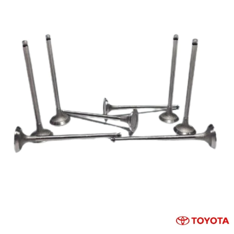 VALVULA ESCAPE TOYOTA TERIOS 2002/2007 VENTA X8