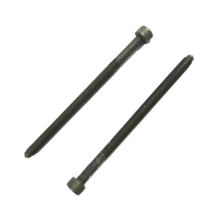 TORNILLO CAMARA CHERY ARAUCA ORINOCO X1
